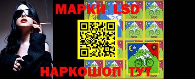 дживик Моздок