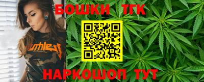 дживик Моздок