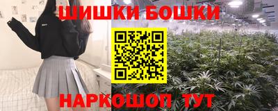 дживик Моздок