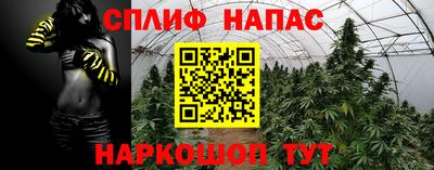 дживик Моздок